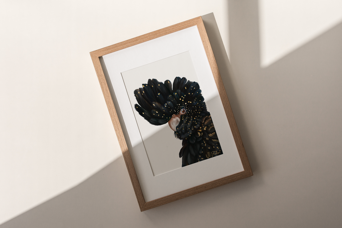 Black Cockatoo