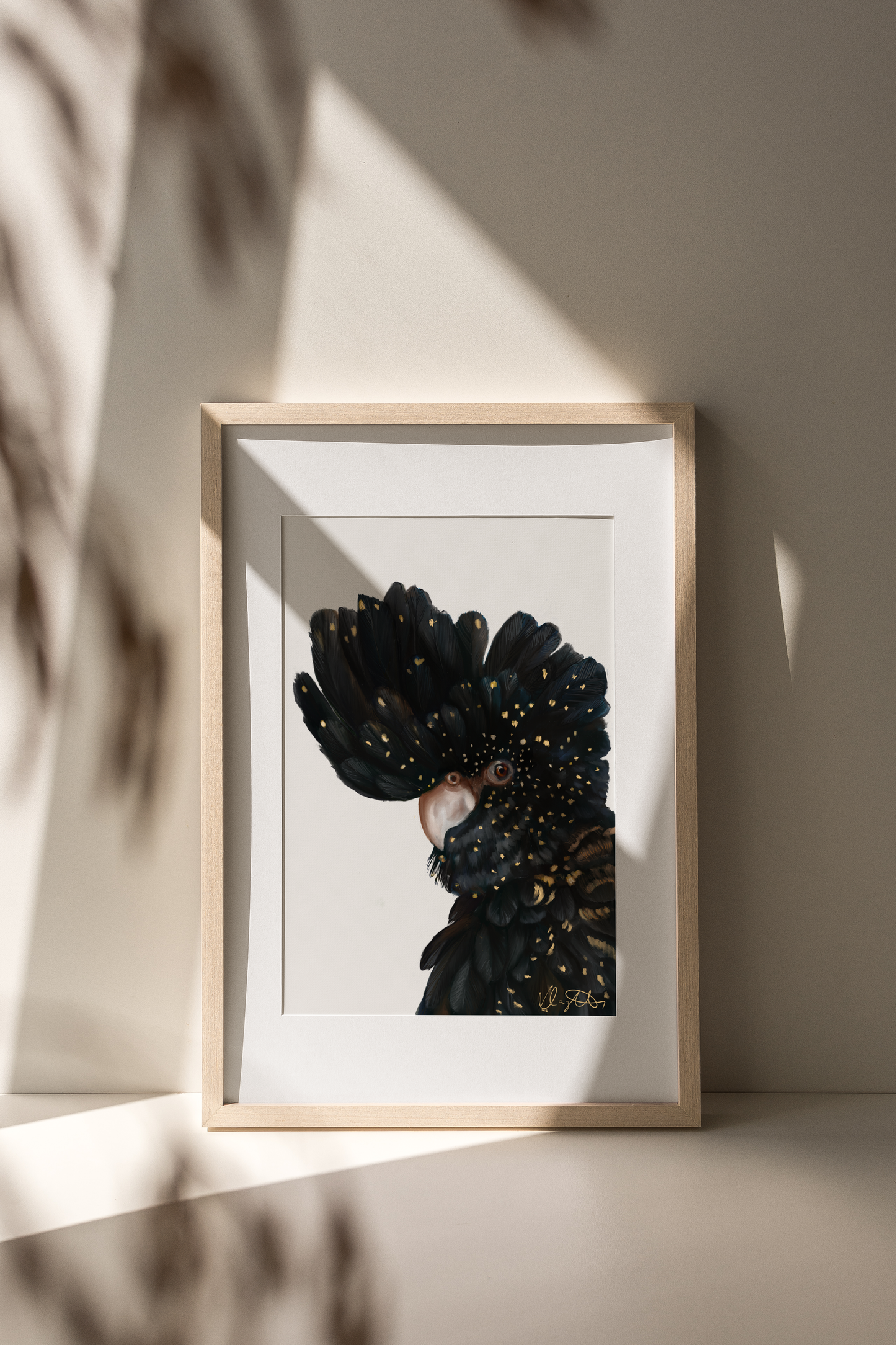 Black Cockatoo