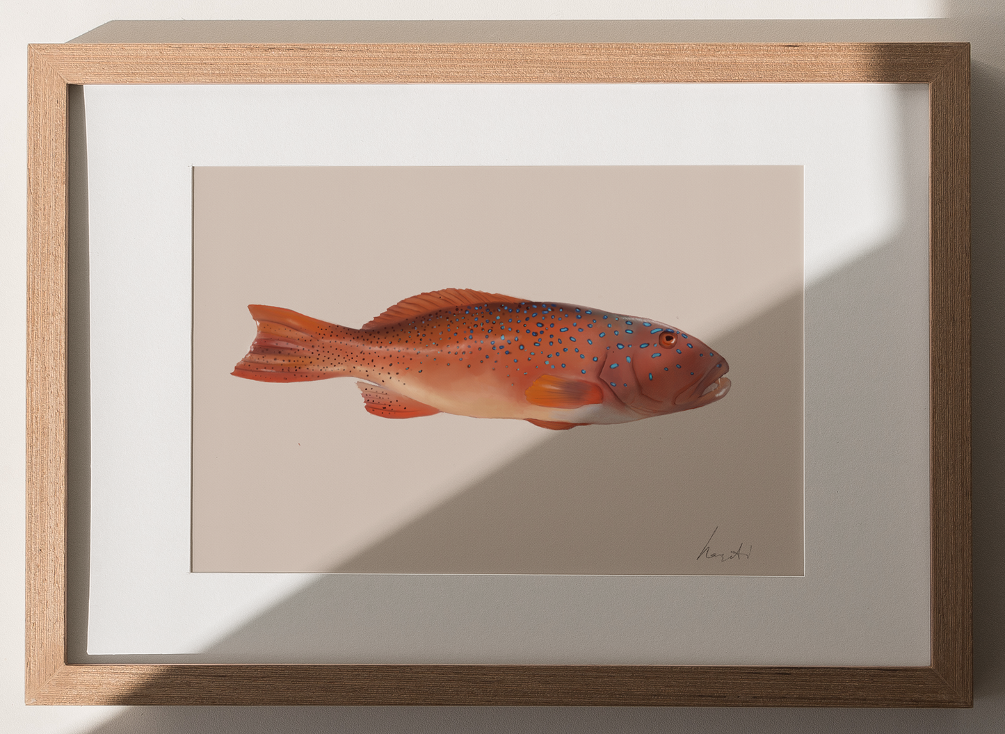 Coral Reef Trout