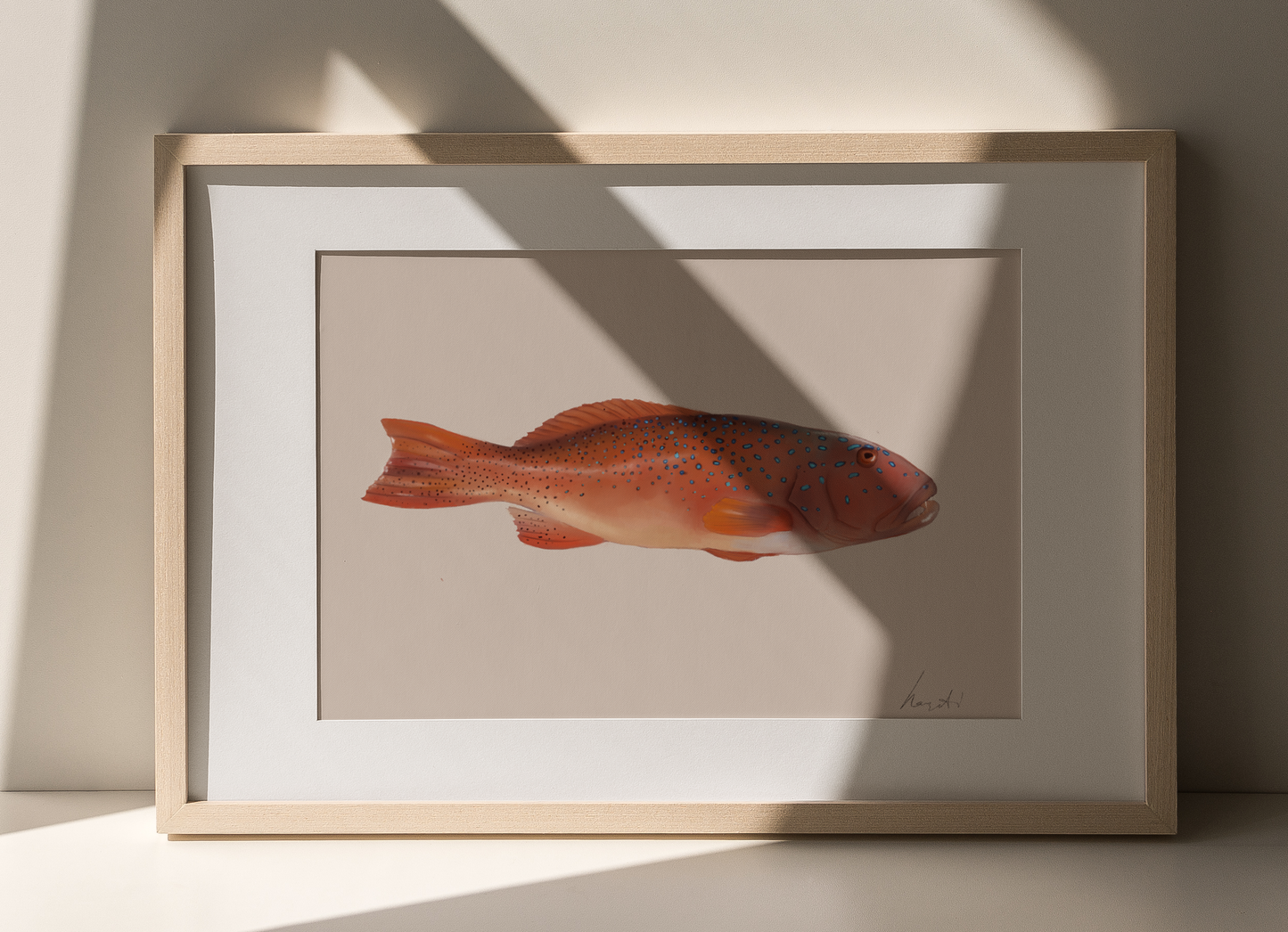 Coral Reef Trout
