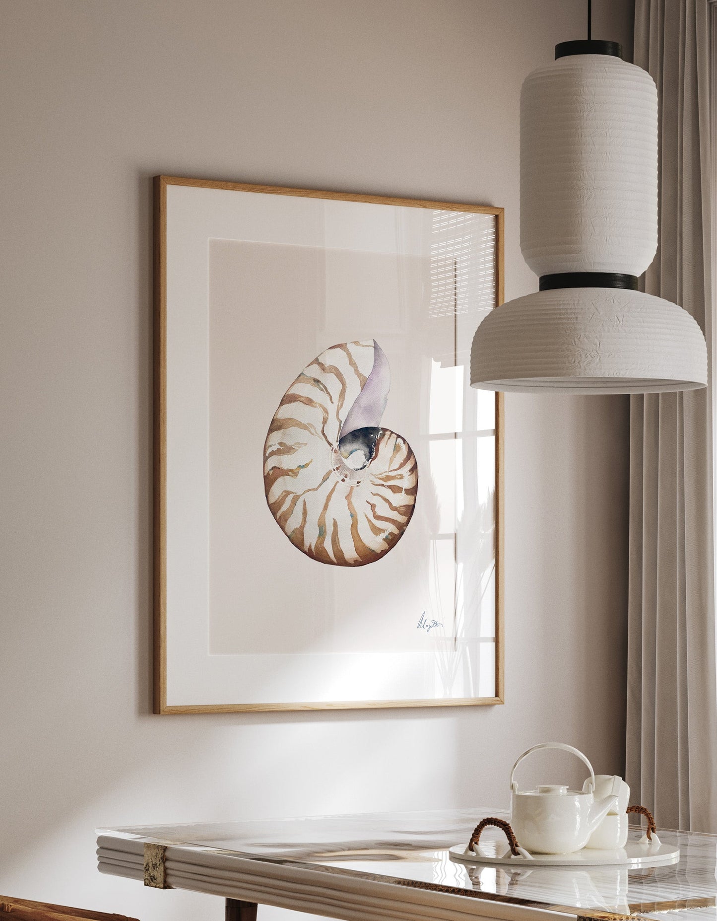 Nautilus Shell