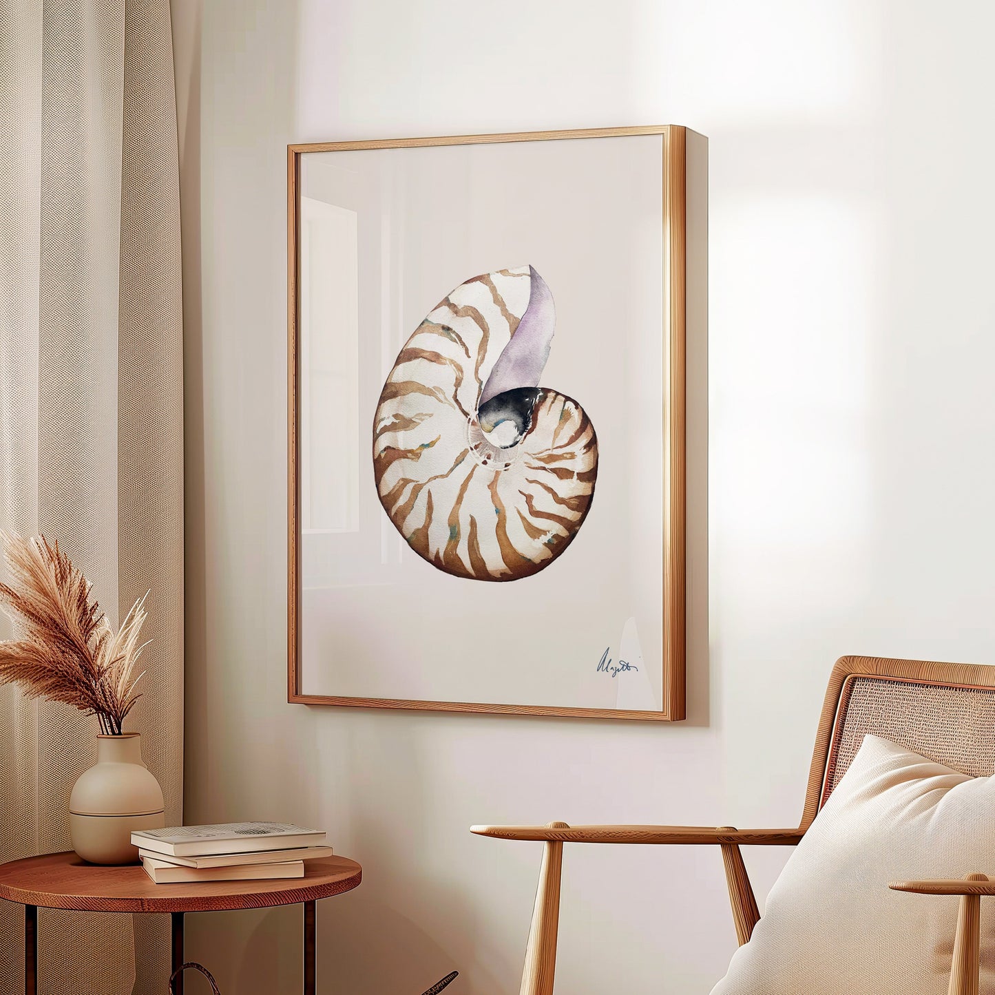 Nautilus Shell