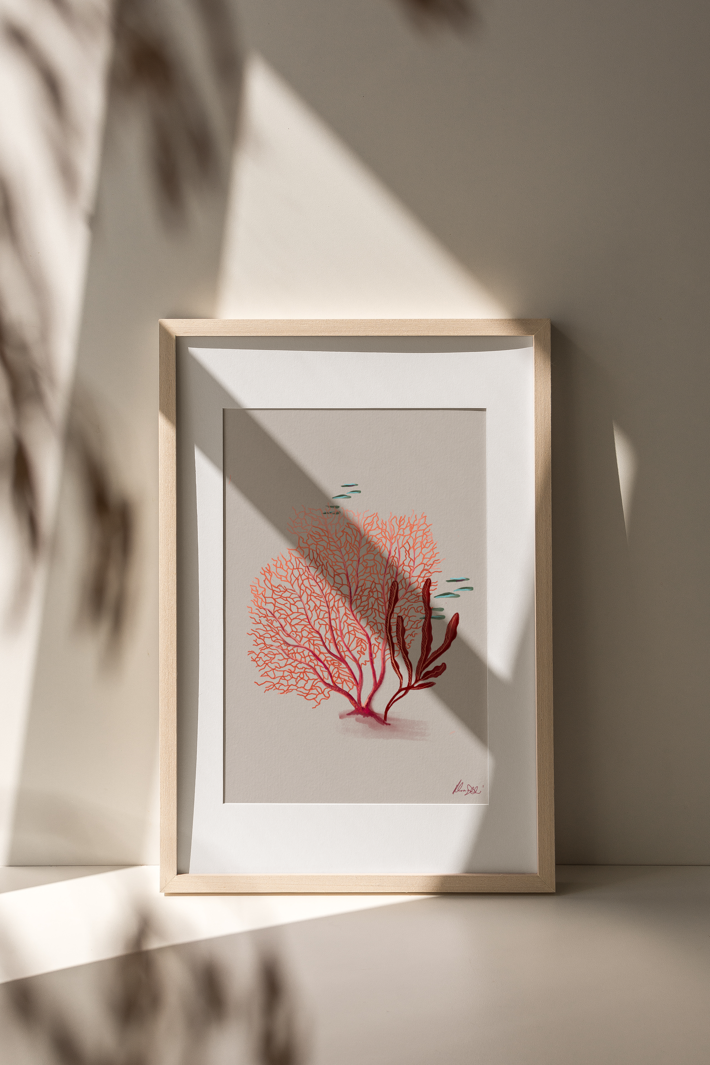 Pink Coral