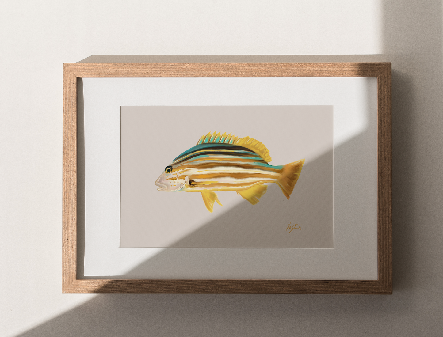 Stripy Snapper Fish