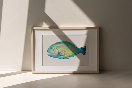 Tusk Fish