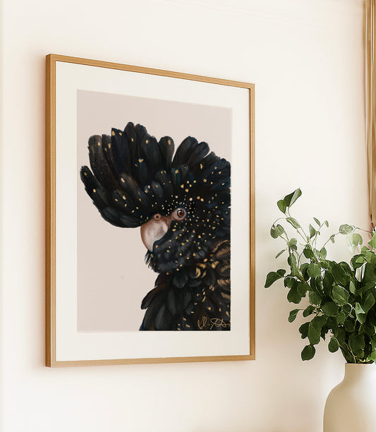 Black Cockatoo