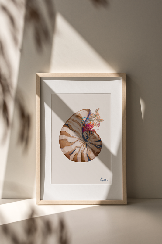 Nautilus Dream